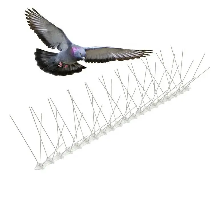 Slide 2